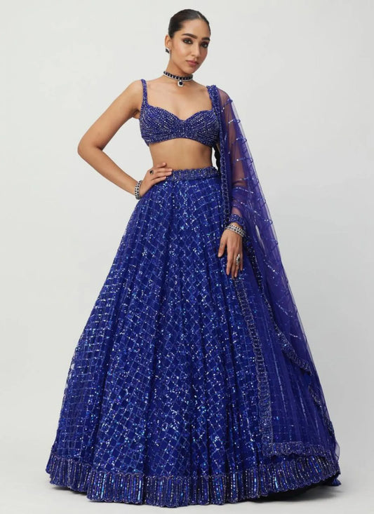 Premium Butterfly Net Lehenga Choli Blue