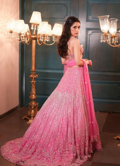 Premium Net Lehenga Gulabi