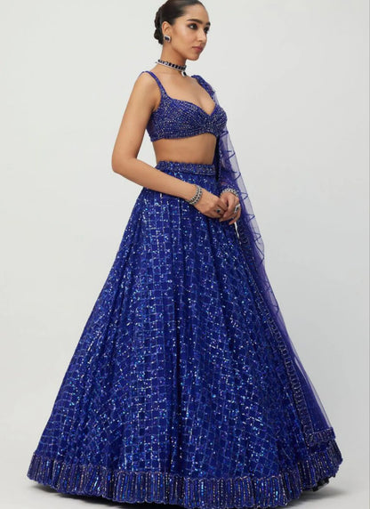 Premium Butterfly Net Lehenga Choli Blue