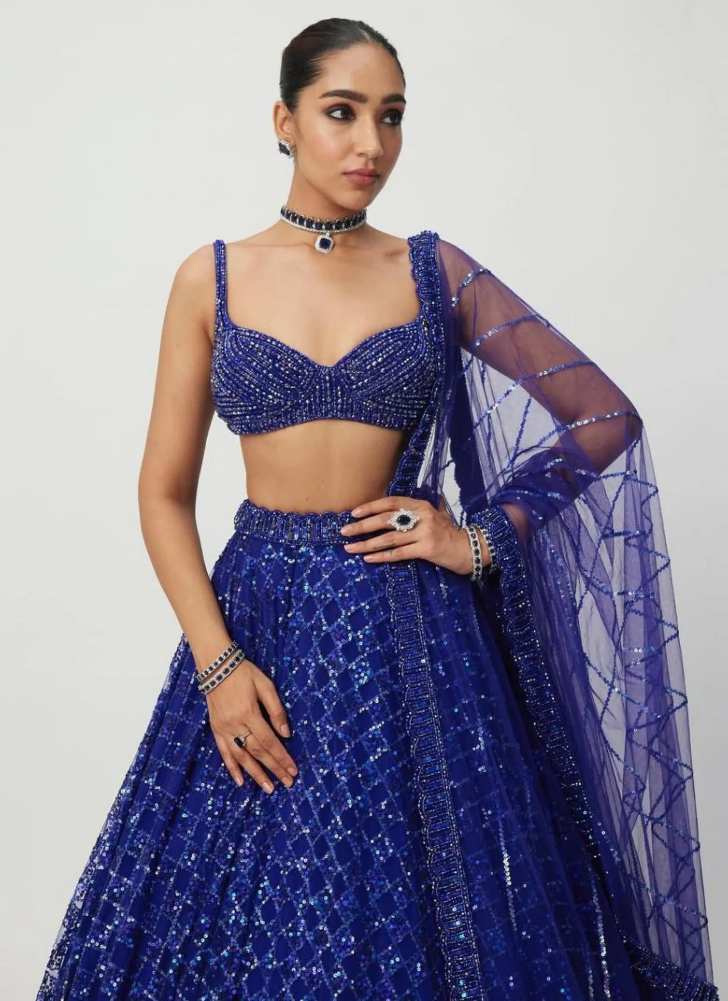 Premium Butterfly Net Lehenga Choli Blue