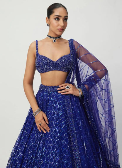 Premium Butterfly Net Lehenga Choli Blue