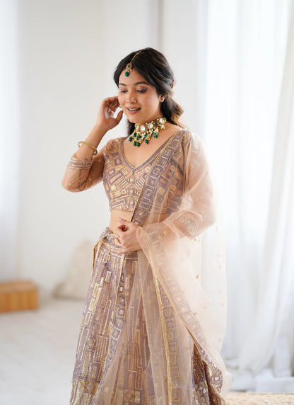 Premium Soft Butterfly Embroidery Lehenga Choli