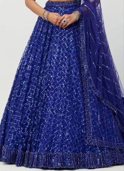 Premium Butterfly Net Lehenga Choli Blue